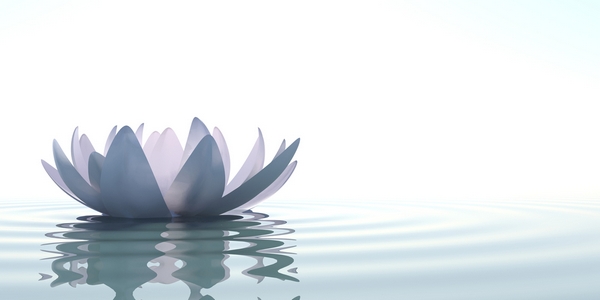meditation-lotus-flower